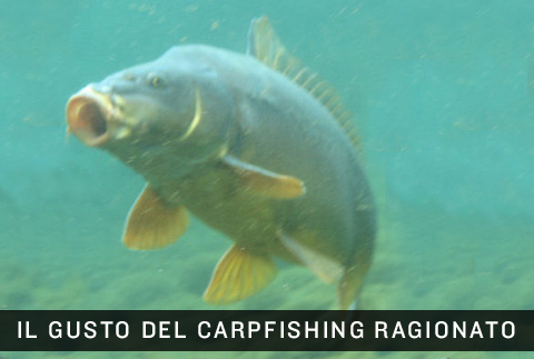 Carpfishing e ragionamento. Strategia per conoscere le carpe.