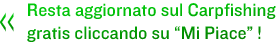 Carpfishing online.
Resta aggiornato cliccando su Mi Piace